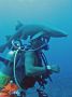 AmbergrisCaye05 - 019 * Nurse Shark gets to ride for a change
